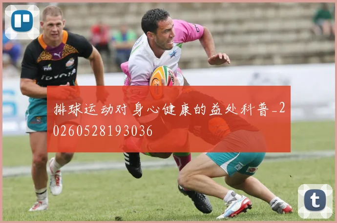 排球运动对身心健康的益处科普_20260528193036