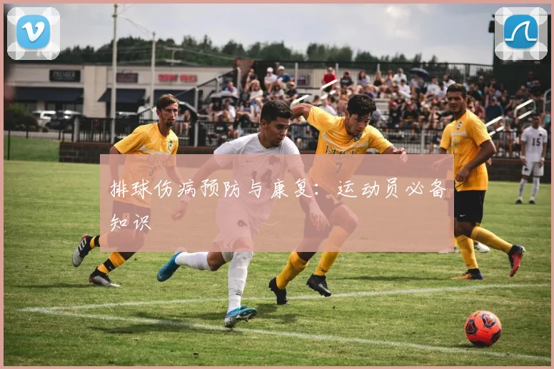 排球伤病预防与康复:运动员必备知识