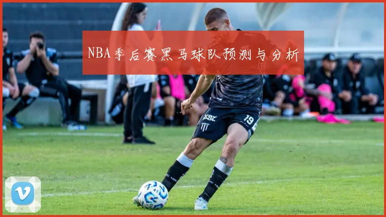 NBA季后赛黑马球队预测与分析