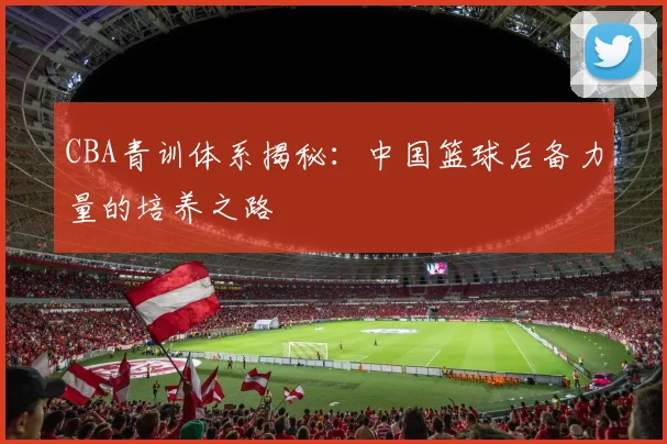 CBA青训体系揭秘:中国篮球后备力量的培养之路