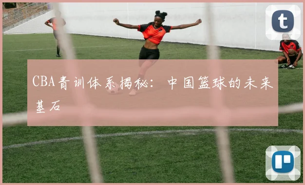 CBA青训体系揭秘:中国篮球的未来基石